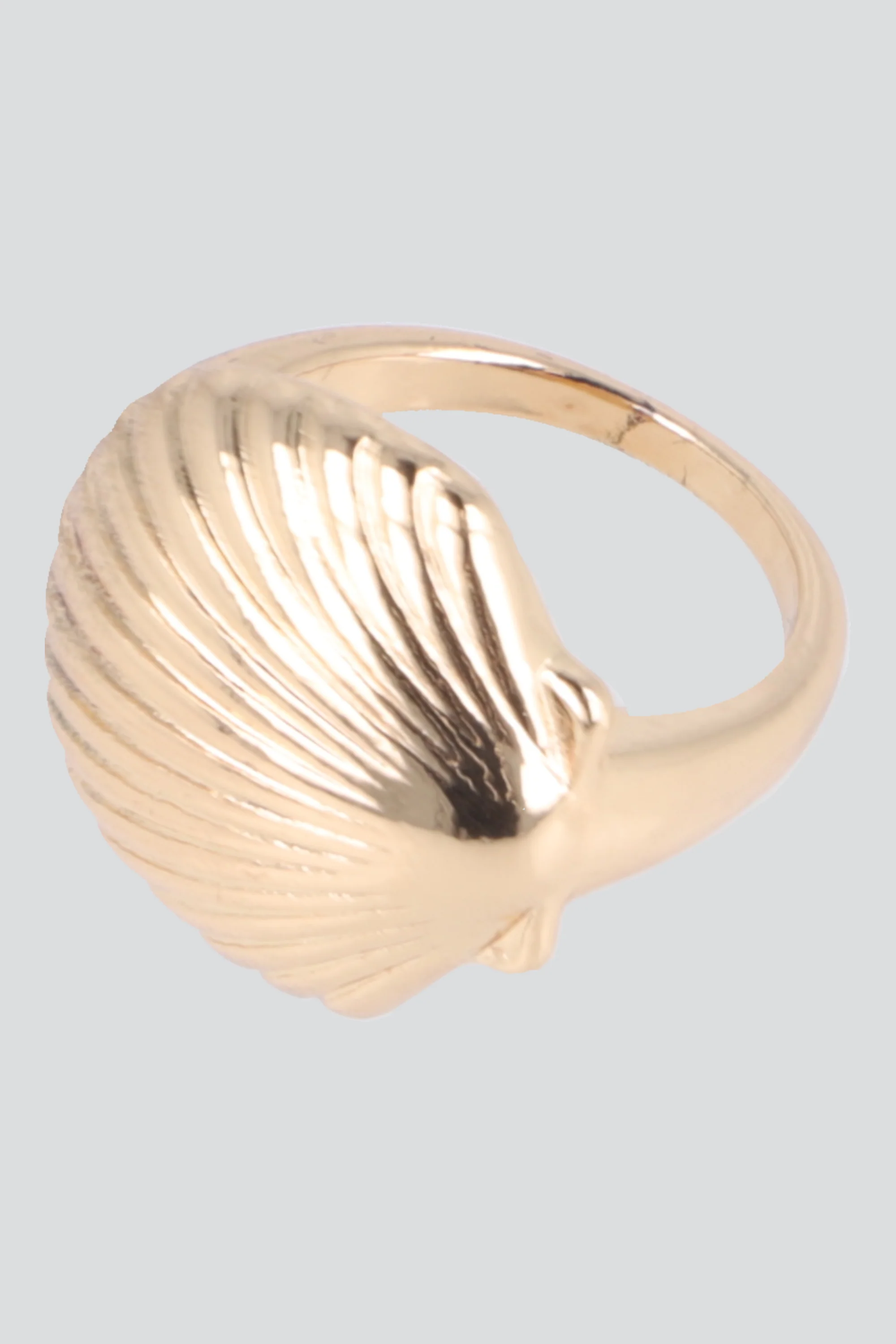 Anillo concha metal