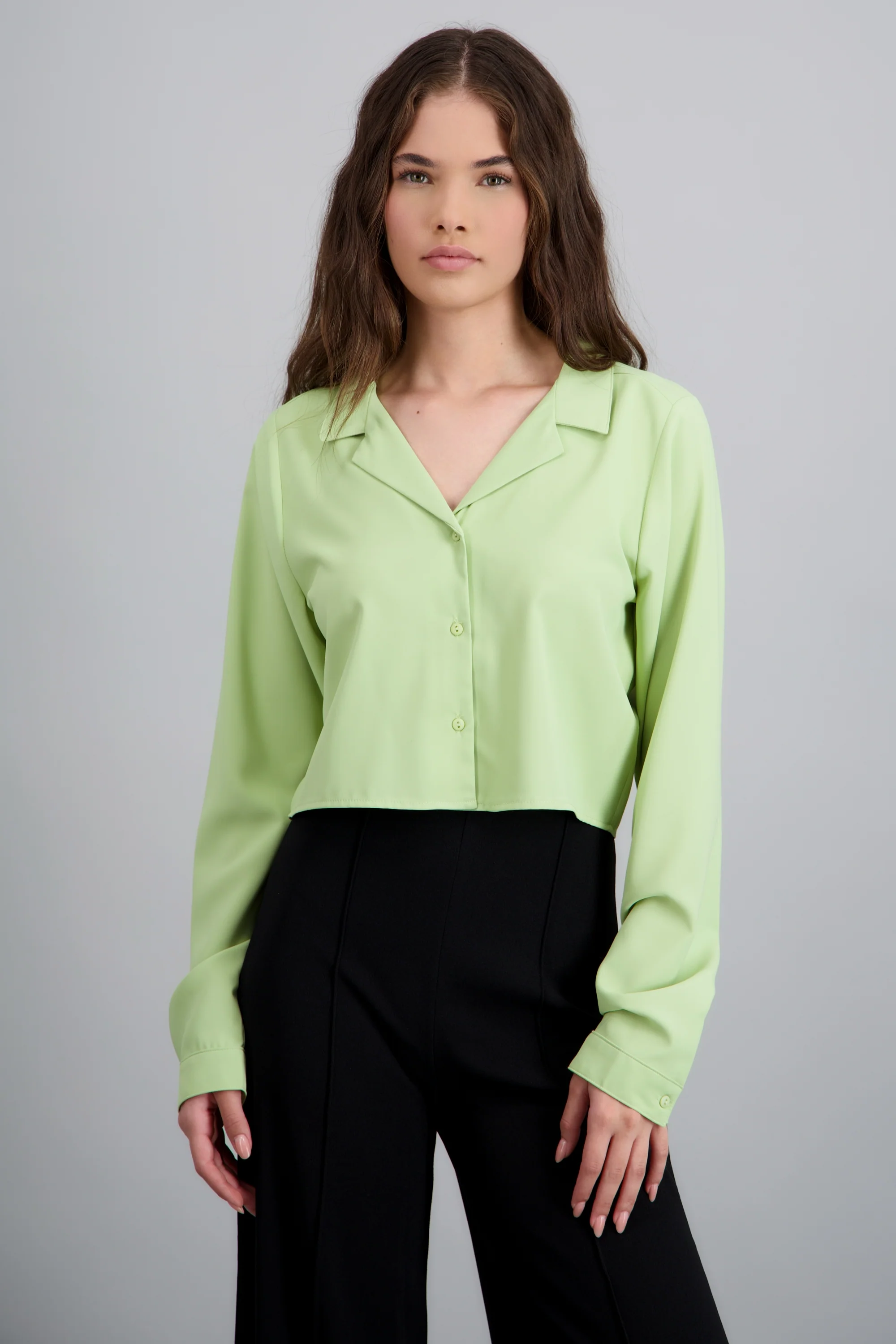 Camisa lisa manga larga