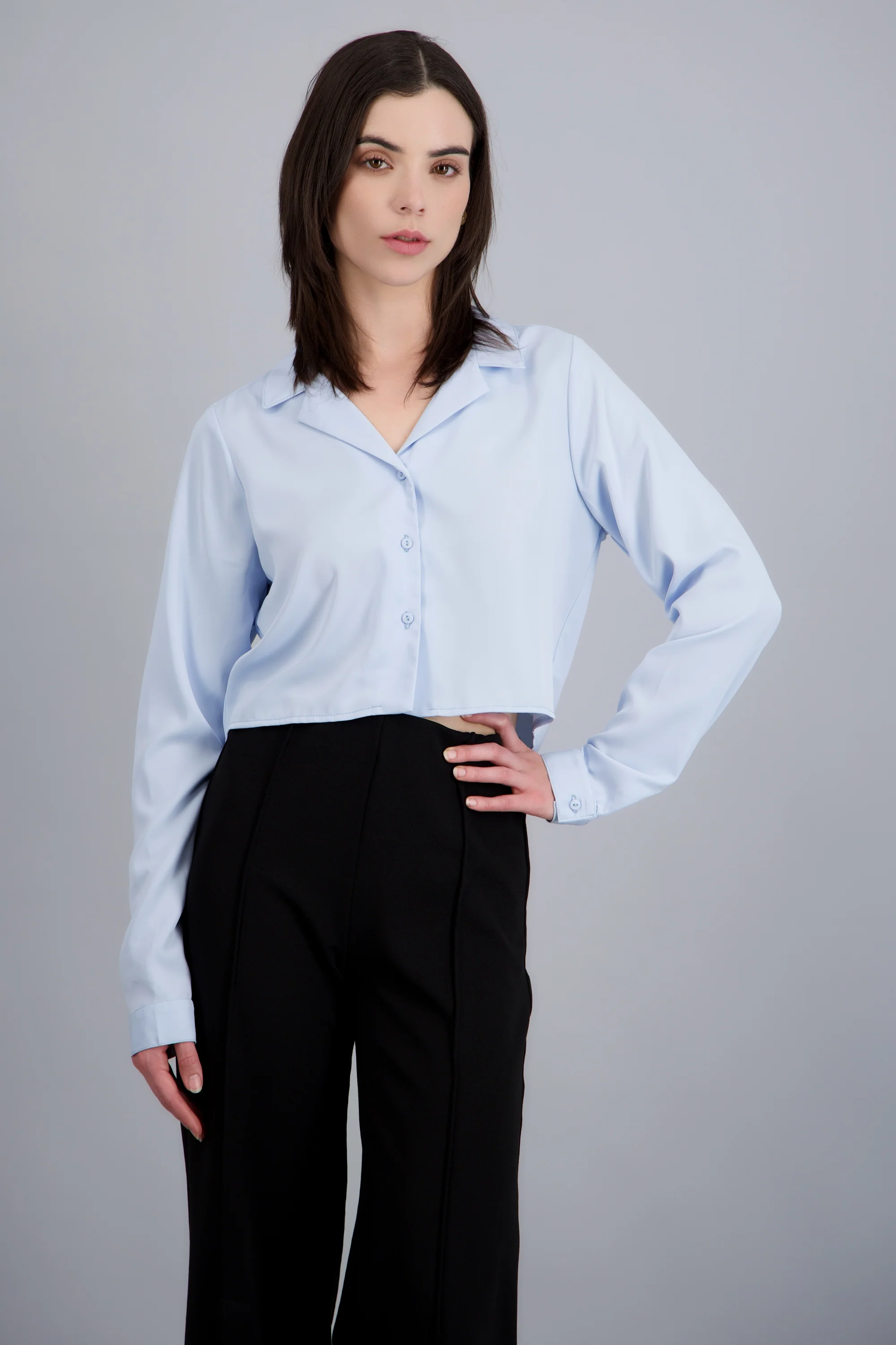 Camisa lisa manga larga