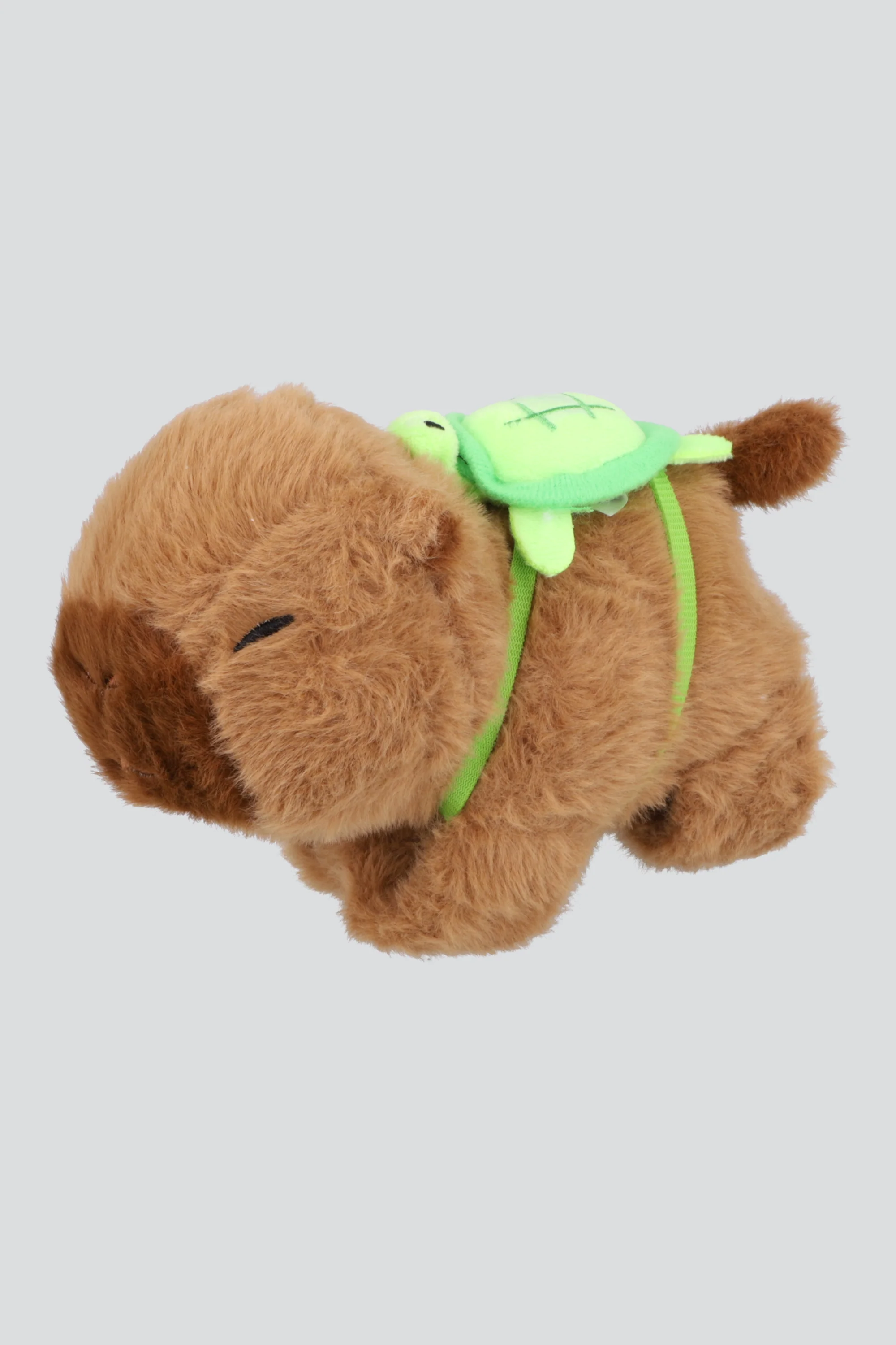 Capibara atrapa brazo