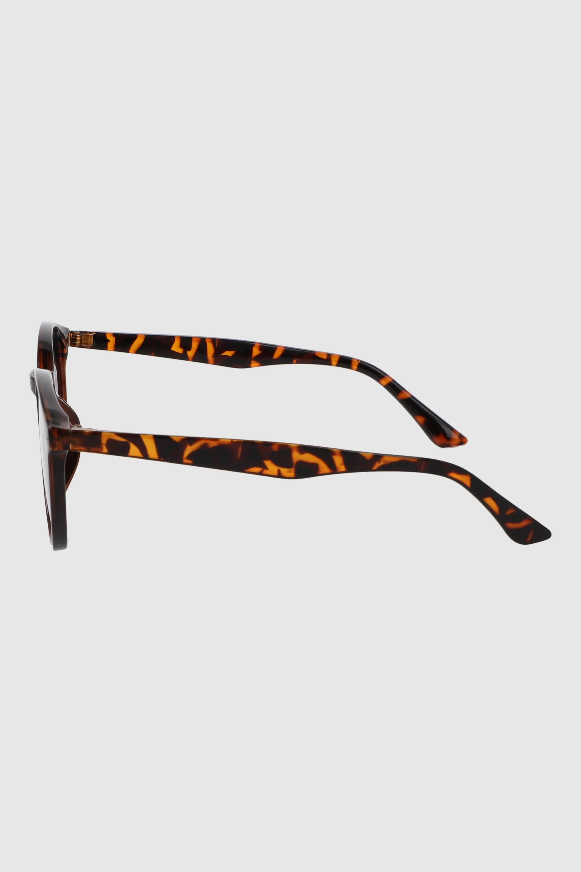Lentes circular pasta - Image 3