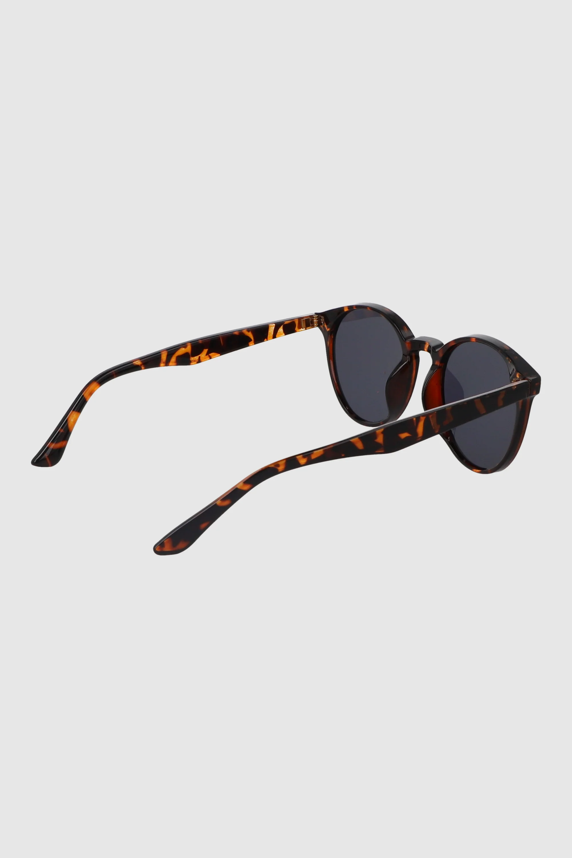 Lentes circular pasta - Image 4