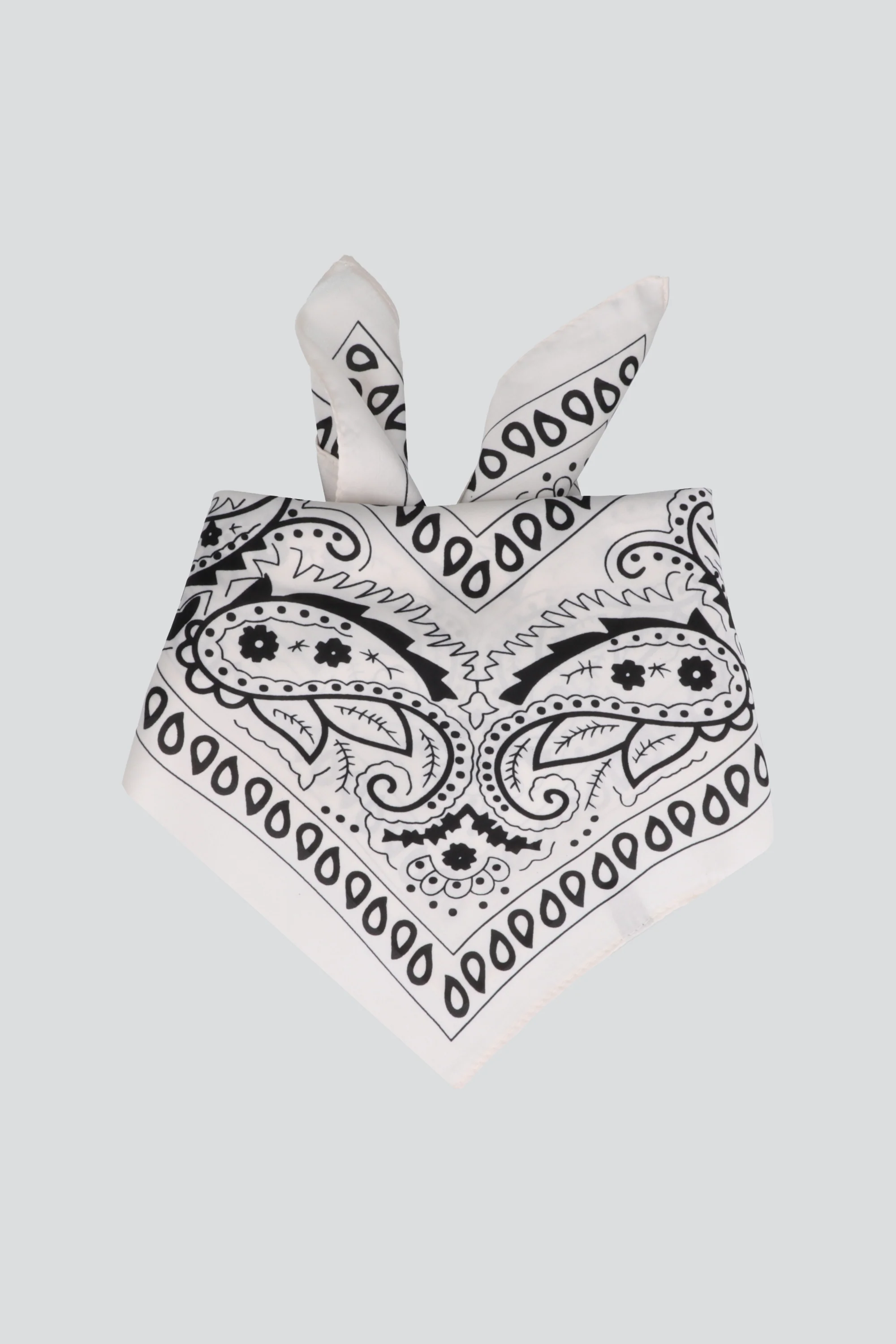 Pañuelo mix paisleys - Image 5