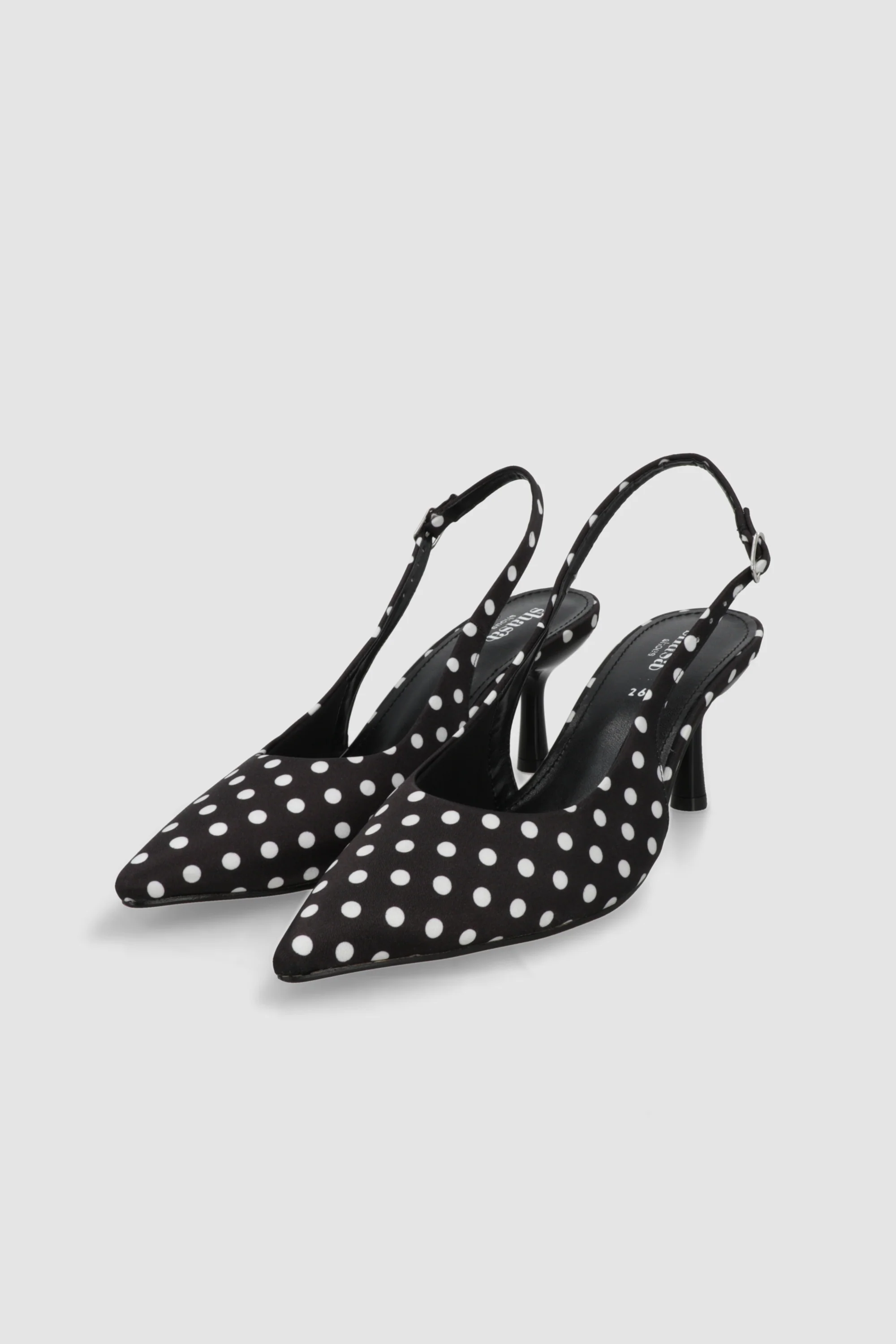 Tacon pointy kitten polkas - Image 2