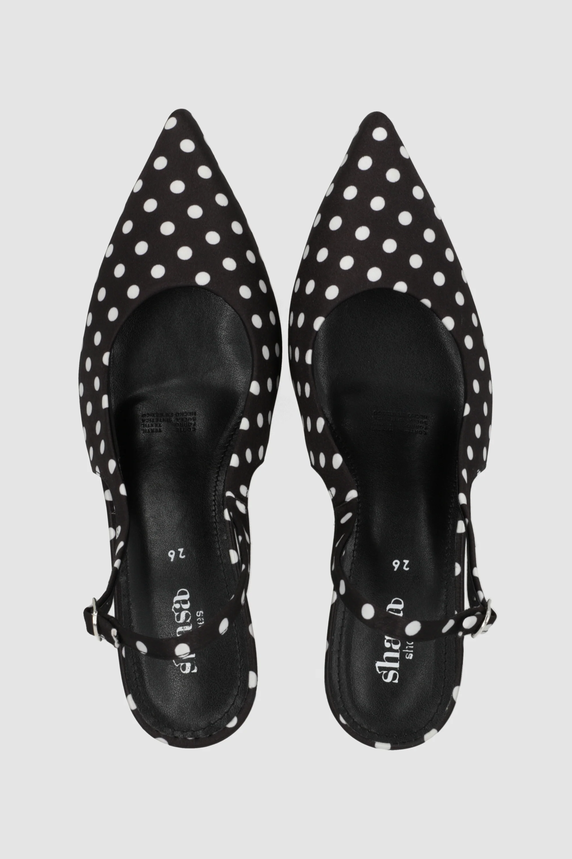 Tacon pointy kitten polkas - Image 3