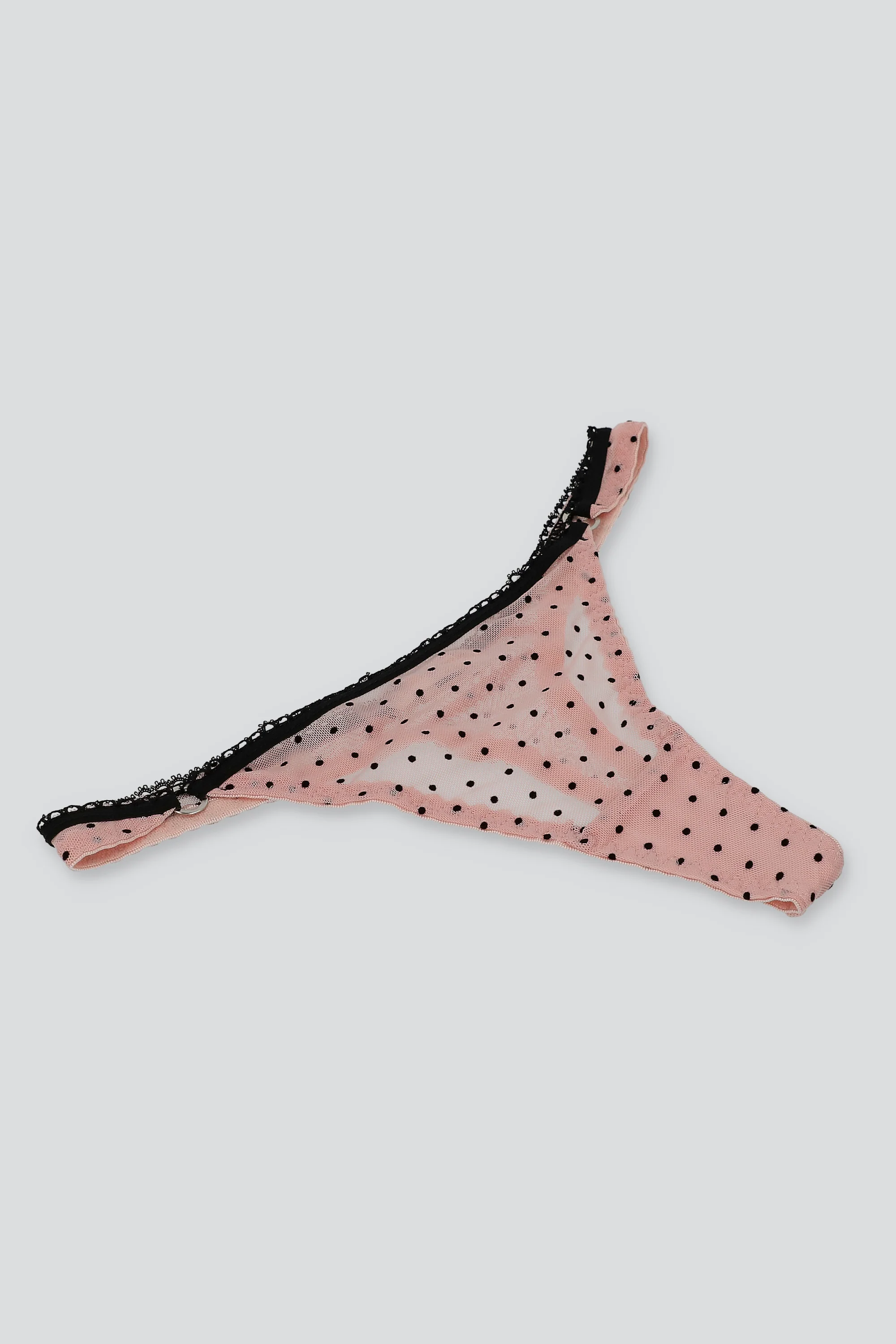 Tanga luniperla picueta - Image 2